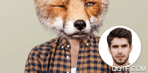 Z相机(多功能相机) Z相机(多功能相机)