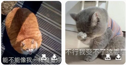人猫人狗翻译交流器(宠物语翻译) 人猫人狗翻译交流器(宠物语翻译)