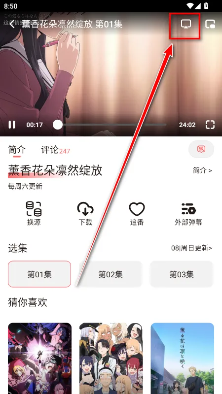 次元城动画(动漫追番软件) 次元城动画(动漫追番软件)