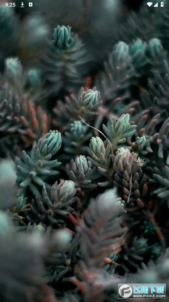 Dock��ֽ��׿���ֻ���