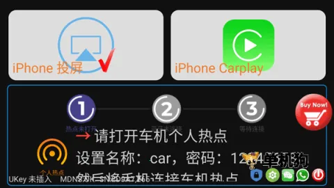 ˮ������CarPlay(������������)