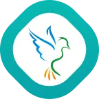 �ֻ�ͨ2025�ٷ����°汾