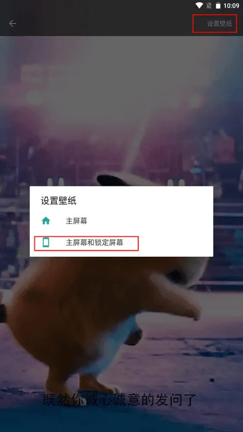 ƤƤ��ֽ(�ֻ���ֽӦ��)