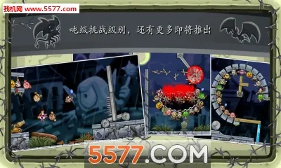 ������������ֻ���