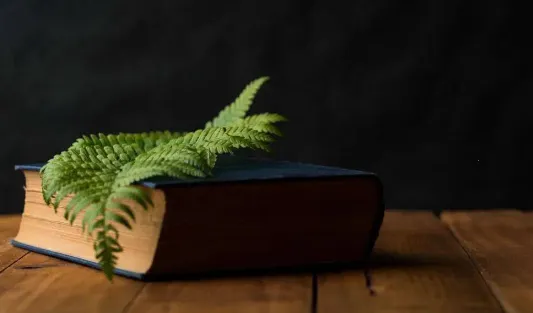 ����Ķ�(С˵�Ķ�����)