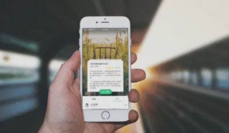 С������(С˵����ƽ̨)