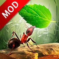 СС��Ⱥ2025���ذ�װ