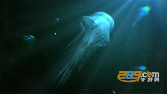 ˮĸ����(�����ۺ�ƽ̨)