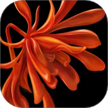 �ܼ�2025�ٷ����°汾