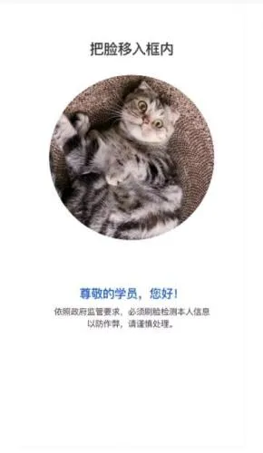 ������2025���°汾