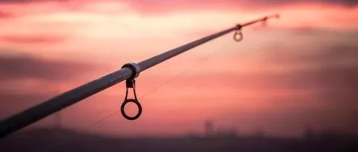 ����ͨ2025�ٷ�����