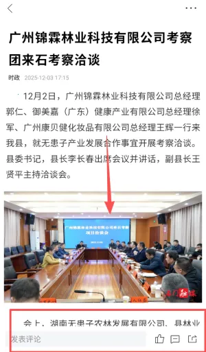 ��ʯ�������ֻ���