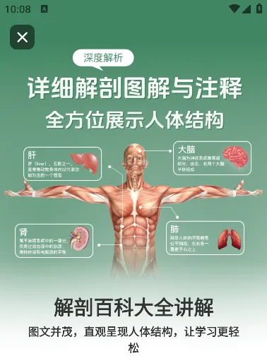 ����ģ��Body(�������ѧϰ����)