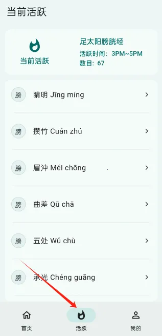 ����Ѩλͼ��(Ѩλ֪ʶ����)