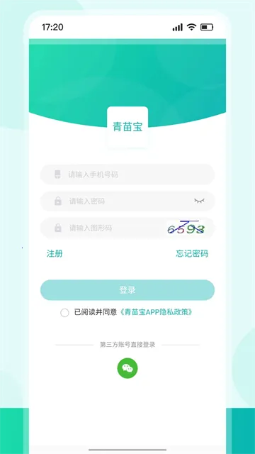 ���籦2025���°汾