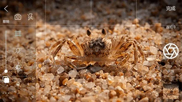 ����Ӱ2025�ٷ�����