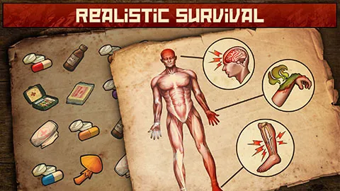 ����֮��2026���°汾