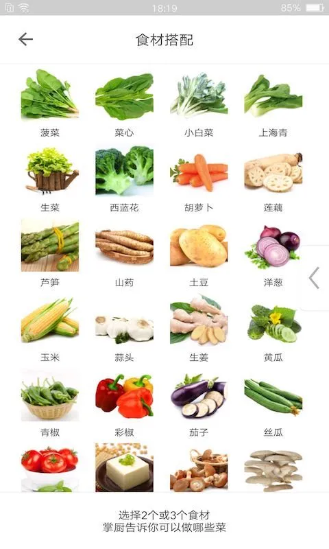 掌厨最新手机版 掌厨最新手机版