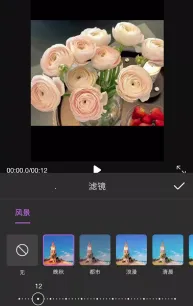 ��Ƶ�������������ֻ���