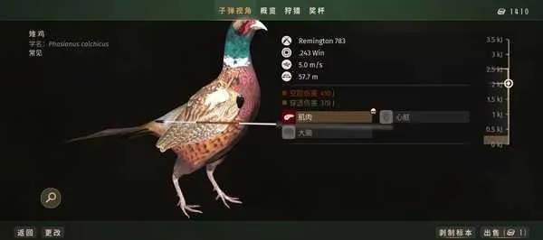 ����֮��2026���ذ�װ