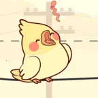 ������س�