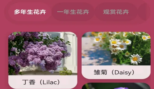 ������ʶ2026���ذ�װ