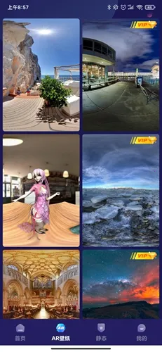 ���⶯̬��ֽ