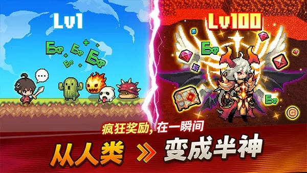 �������ɼ�