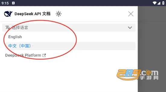 DeepSeek��ʾ��