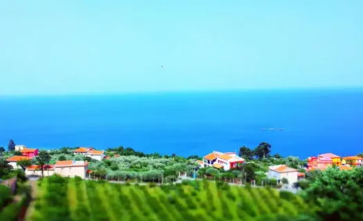 B12相机2026最新版本 B12相机2026最新版本