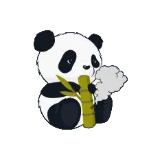 ����Ȼ�ж�С��è