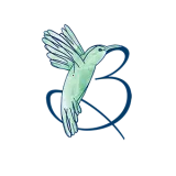 �йȽ����̳�2026���ذ�װ