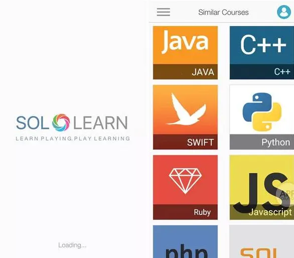 SoloLearn2026�ٷ����°汾