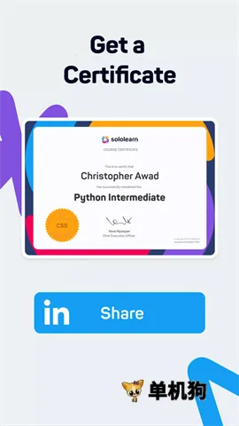 SoloLearn2026�ٷ����°汾