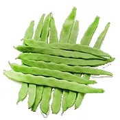 С�˶�2026���ذ�װ