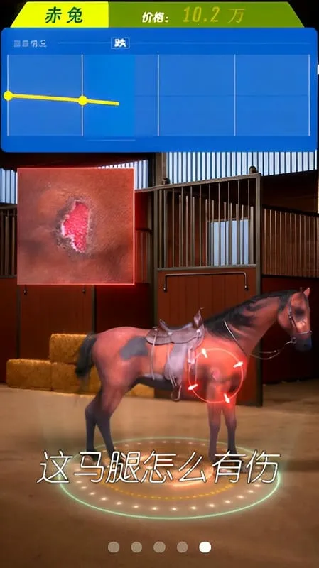 赛马也疯狂内置菜单 赛马也疯狂内置菜单