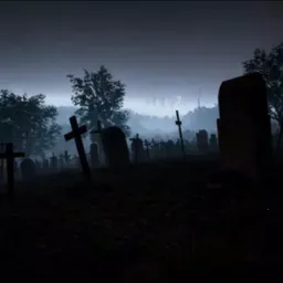 The Silent Neighbor�����ֻ���