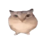 �ͰͲ�һ��׿���ֻ���