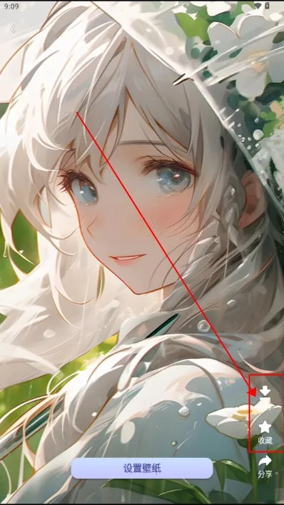 ����è(�ֻ���������)