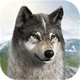 ��������׿���ֻ���