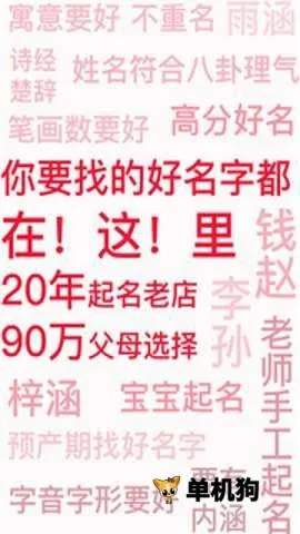 ���װ���2026�ٷ�����