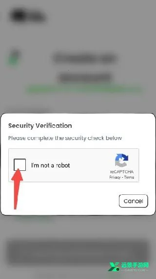 anuneko�׹���AI2026�ٷ����°汾