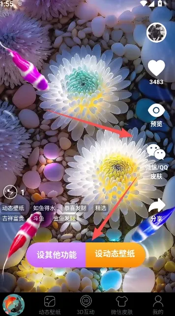 锦鲤金鱼壁纸2026最新版本 锦鲤金鱼壁纸2026最新版本
