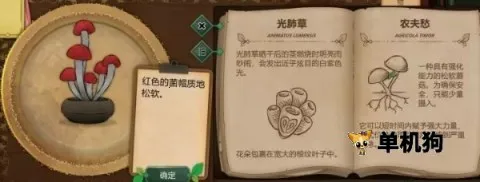 奇异园艺(植物解谜游戏) 奇异园艺(植物解谜游戏)