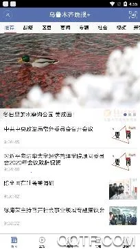 ������³ľ��(��³ľ������ƽ̨)