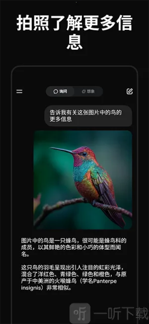 Grok(����AI����)