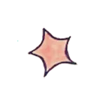 ����(�ֻ����ܲ��Թ���)