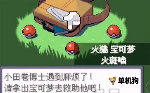 �ڴ�����Ů���������ֻ���