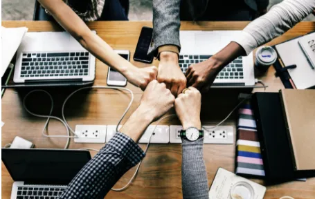 �鵥��Ƶ����2026���ذ�װ