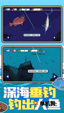 �Ϻ�С���׿���ֻ���